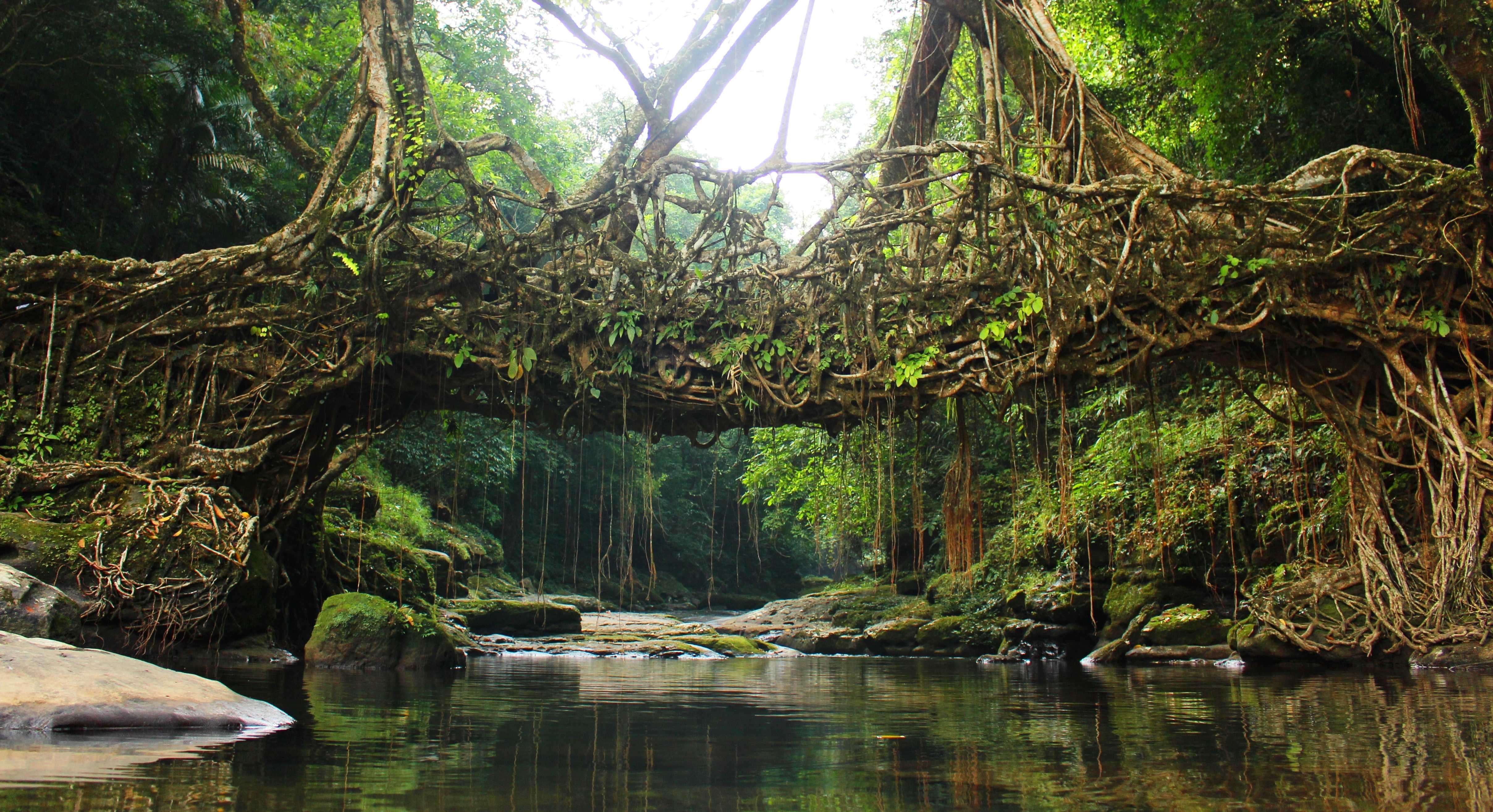 Meghalaya Images